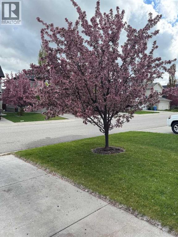 185 Brightonstone Landing SE, Calgary, Alberta  T2Z 4W2 - Photo 32 - A2288148