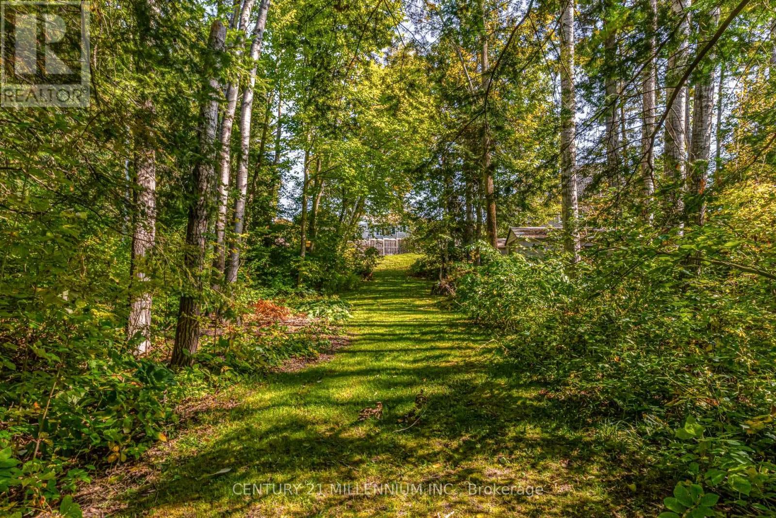 9344 County 1 Road, Adjala-Tosorontio, Ontario  L0N 1P0 - Photo 48 - N12951148