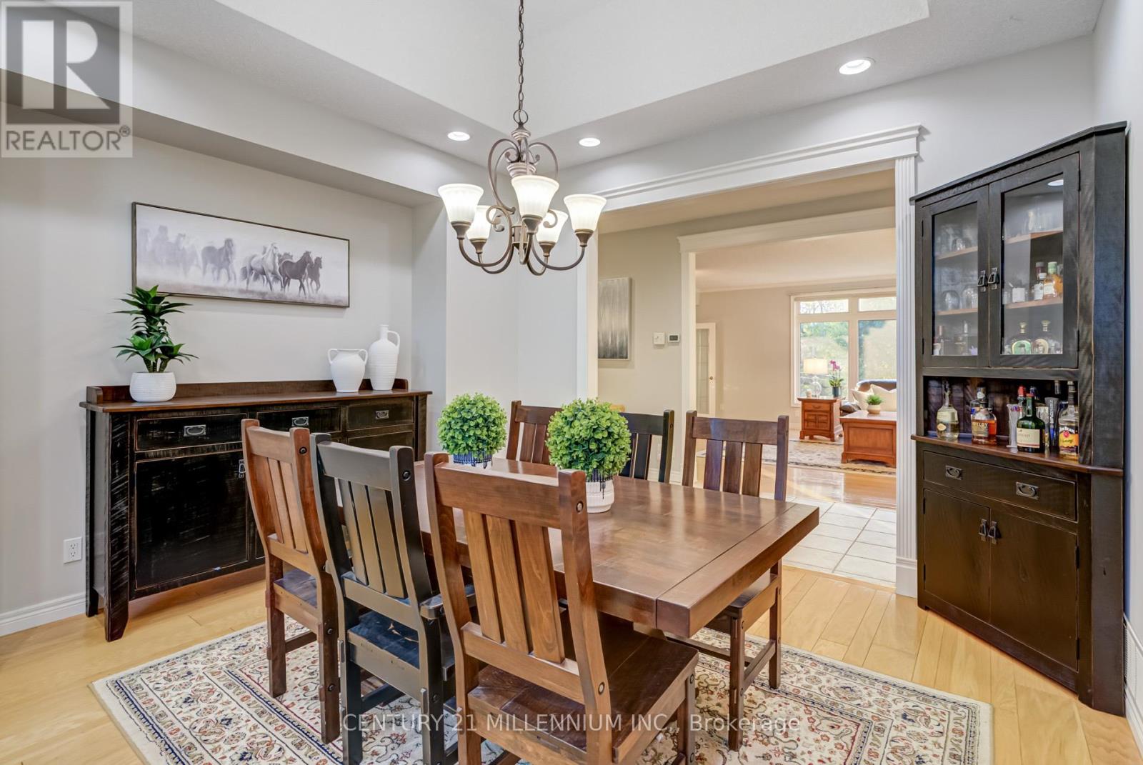 9344 County 1 Road, Adjala-Tosorontio, Ontario  L0N 1P0 - Photo 9 - N12951148