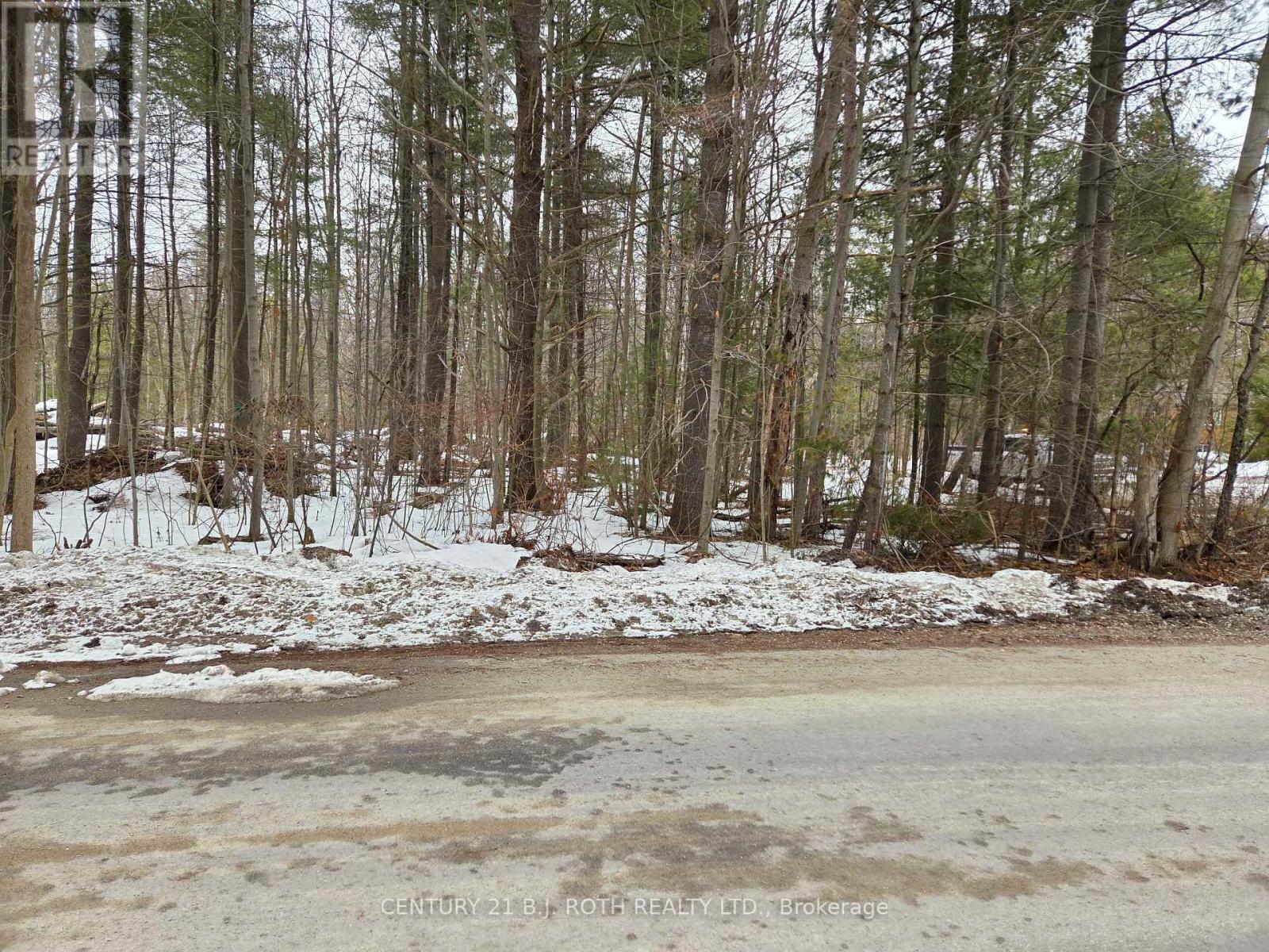 3183 Cove Avenue, Innisfil, Ontario  L9S 2K7 - Photo 5 - N12958448