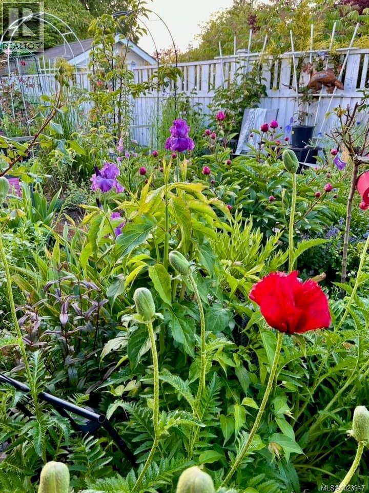 511 Panorama Pl, Parksville, British Columbia V9P 1A4 - Photo 73 - 1023917