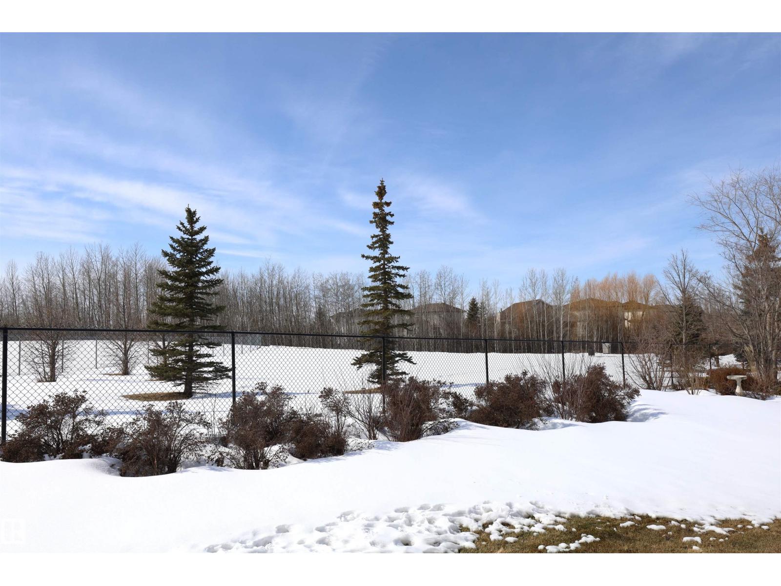 104 Westerra Bv, Stony Plain, Alberta  T5Z 2Z7 - Photo 9 - E4479860