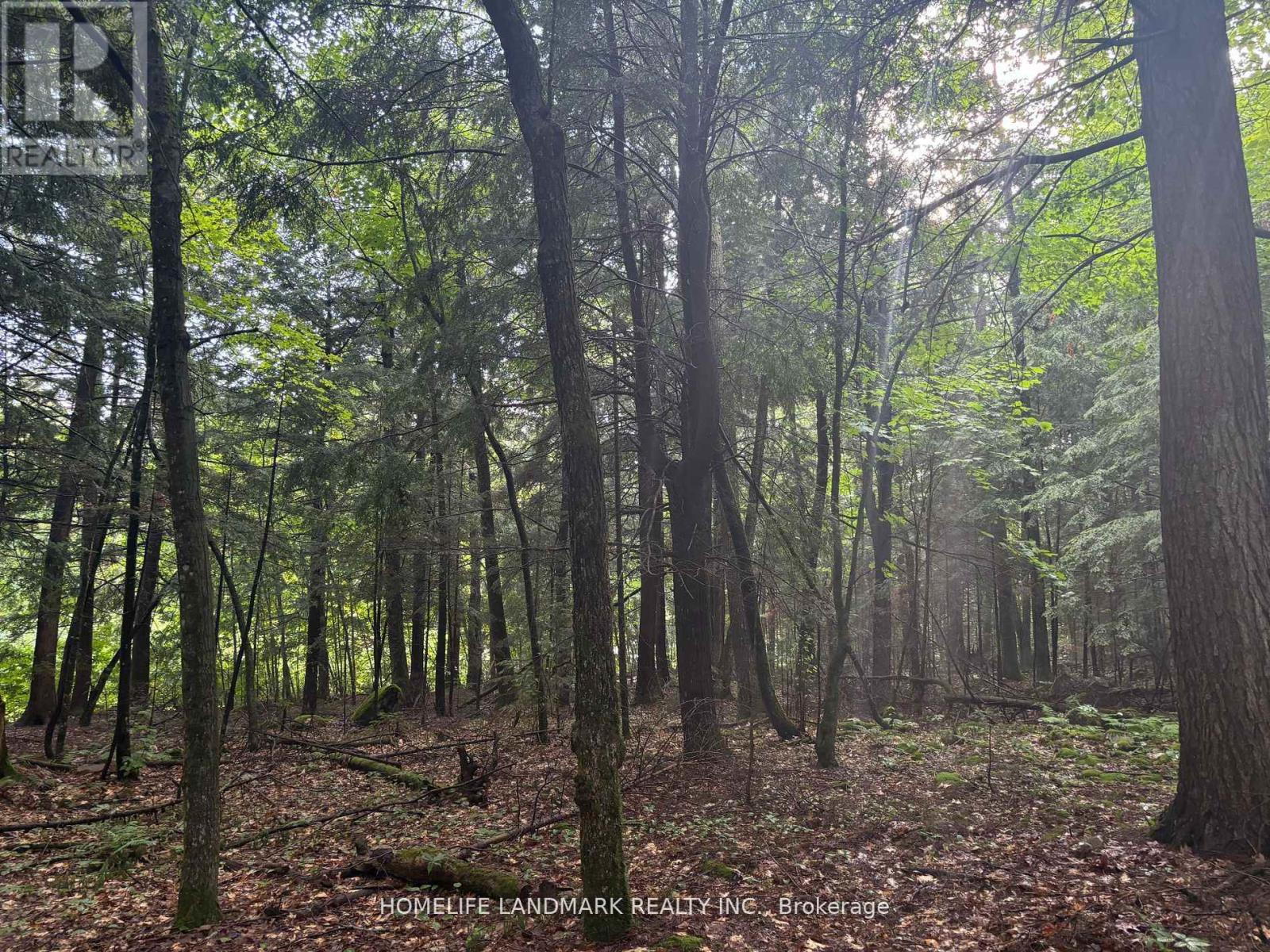 153 ACRES PARCEL 18476, Timmins, Ontario