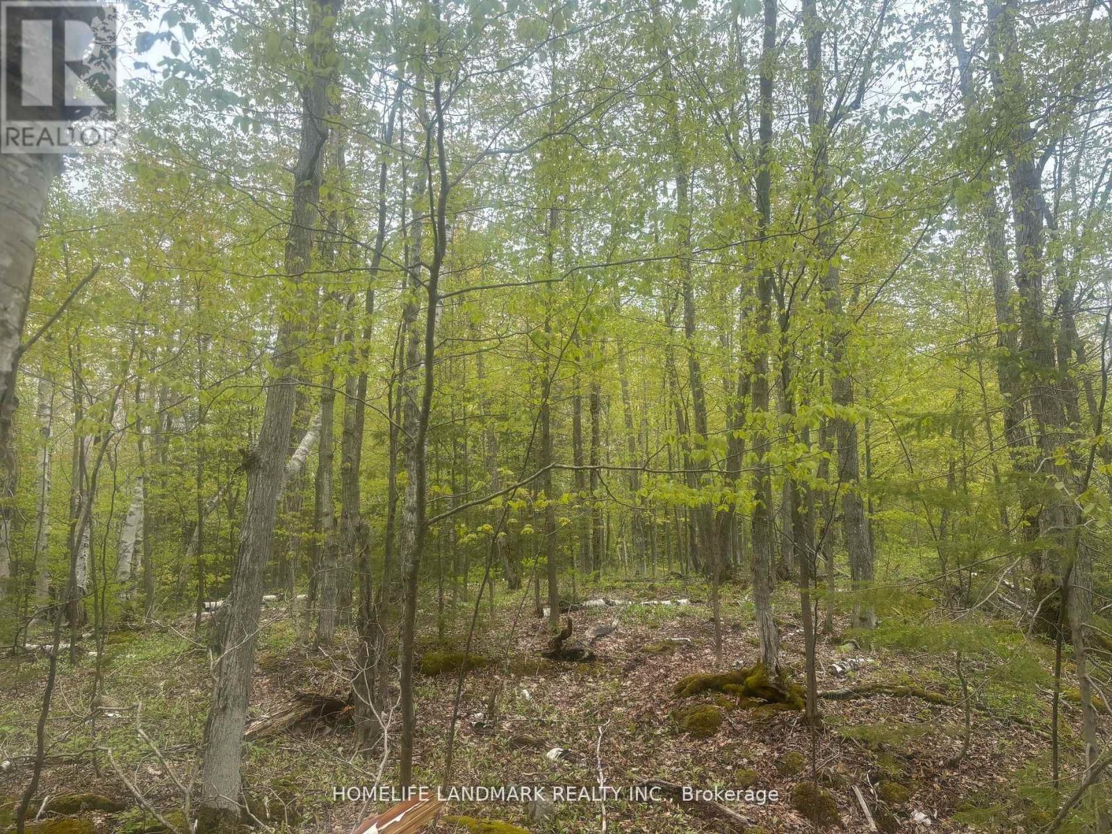 153 Acres Parcel 18476, Timmins, Ontario  P4N 2C7 - Photo 2 - T12958528