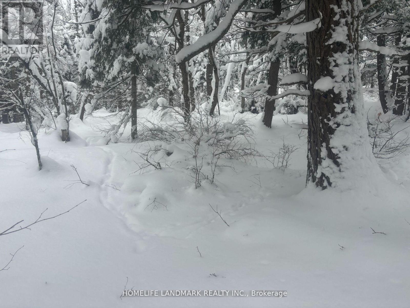 153 Acres Parcel 18476, Timmins, Ontario  P4N 2C7 - Photo 4 - T12958528