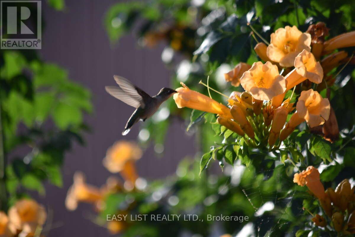 7652 Harris Point Drive, Plympton-Wyoming, Ontario  N0N 1J6 - Photo 36 - X12444601