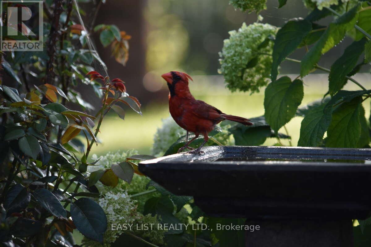 7652 Harris Point Drive, Plympton-Wyoming, Ontario  N0N 1J6 - Photo 37 - X12444601
