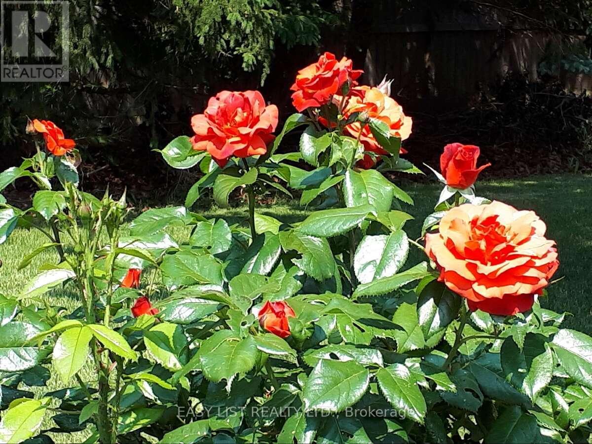 7652 Harris Point Drive, Plympton-Wyoming, Ontario  N0N 1J6 - Photo 38 - X12444601