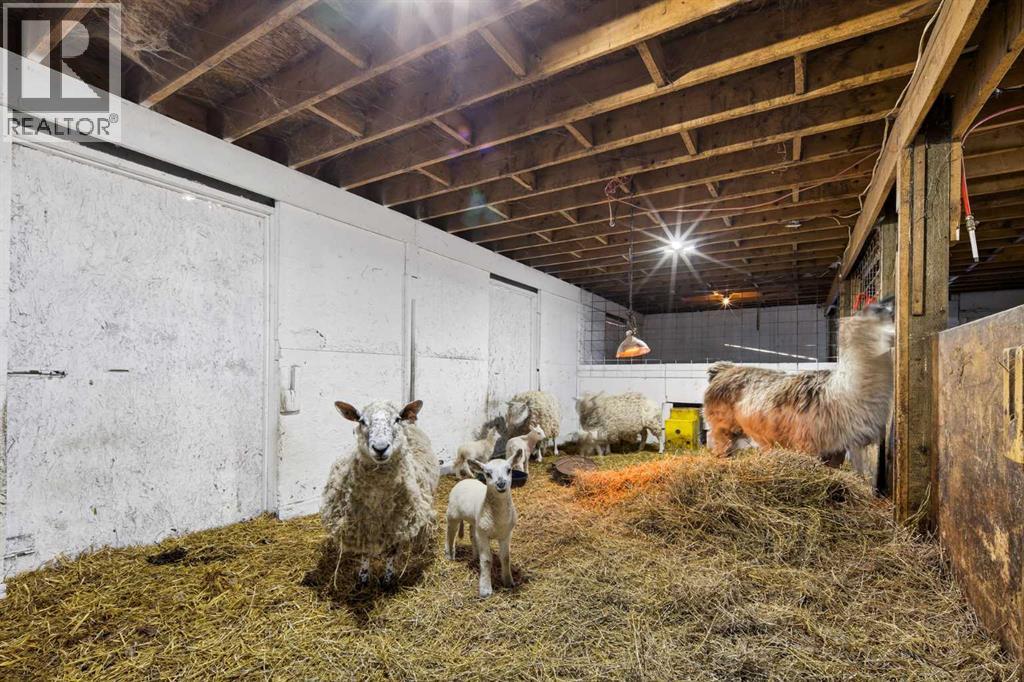 Rural, Rural Kneehill County, Alberta  T0M 0A0 - Photo 28 - A2298885