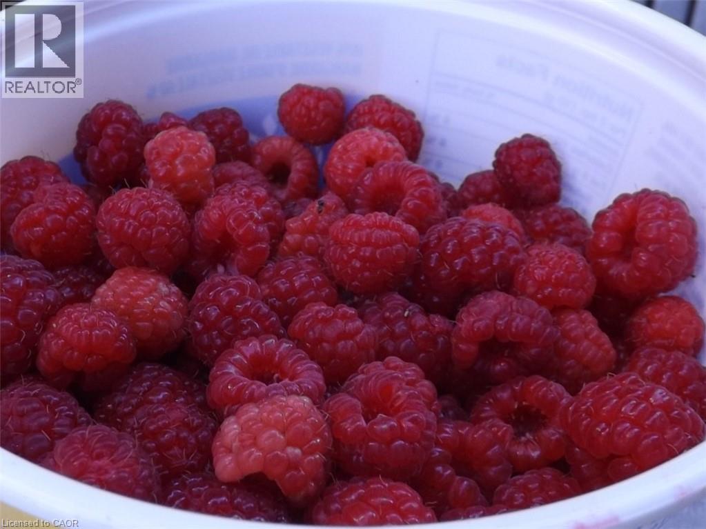 5815 Main Street, Niagara Falls, Ontario  L2G 5Z6 - Photo 20 - 40817617