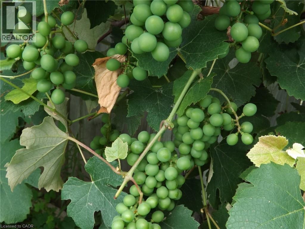 5815 Main Street, Niagara Falls, Ontario  L2G 5Z6 - Photo 19 - 40817617