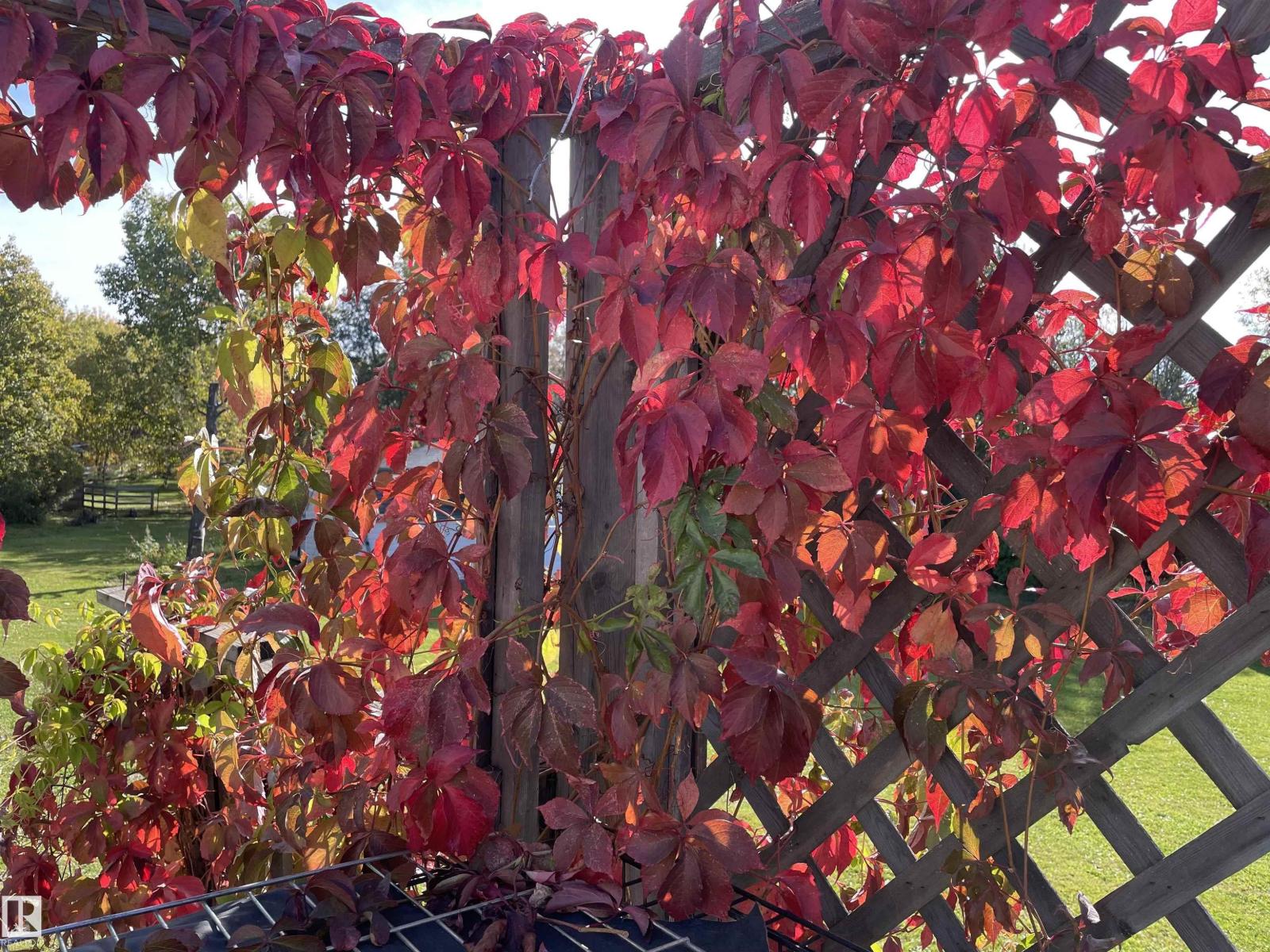 #1 23429 Twp Road 584, Rural Westlock County, Alberta  T0G 1L0 - Photo 36 - E4480545