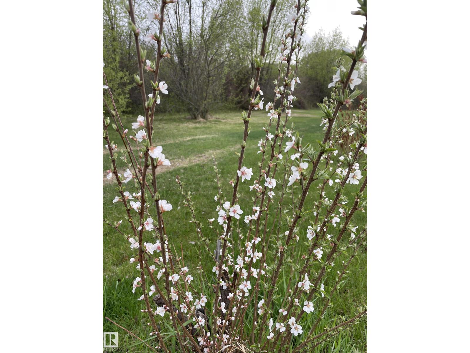 #1 23429 Twp Road 584, Rural Westlock County, Alberta  T0G 1L0 - Photo 37 - E4480545