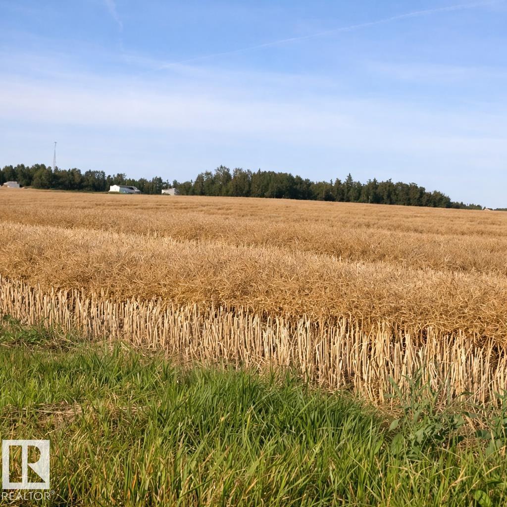 475031b Rge Road 251, Rural Wetaskiwin County, Alberta  T0C 1Z0 - Photo 50 - E4480345
