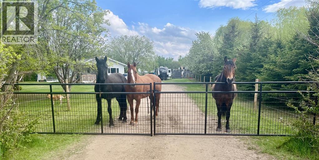 43041 Twp Rd 451, Rural Wainwright No. 61, Alberta  T0B 1K0 - Photo 33 - A2287390