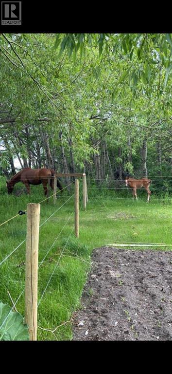 43041 Twp Rd 451, Rural Wainwright No. 61, Alberta  T0B 1K0 - Photo 34 - A2287390