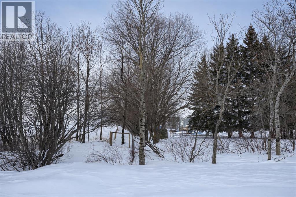 43041 Twp Rd 451, Rural Wainwright No. 61, Alberta  T0B 1K0 - Photo 30 - A2287390