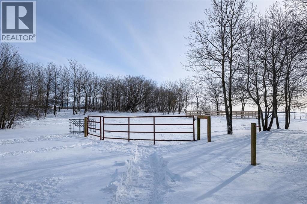 43041 Twp Rd 451, Rural Wainwright No. 61, Alberta  T0B 1K0 - Photo 28 - A2287390