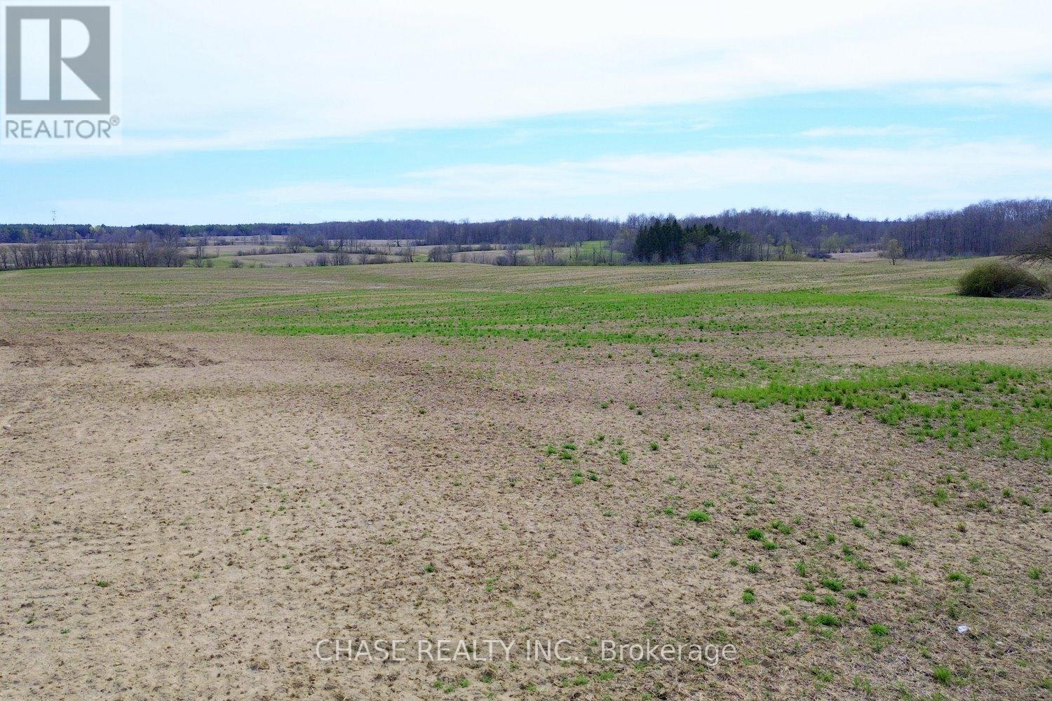 29 Unity Side Road, Haldimand, Ontario  N3W 1M4 - Photo 16 - X12958826