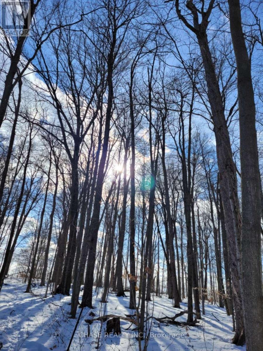 29 Unity Side Road, Haldimand, Ontario  N3W 1M4 - Photo 21 - X12958826