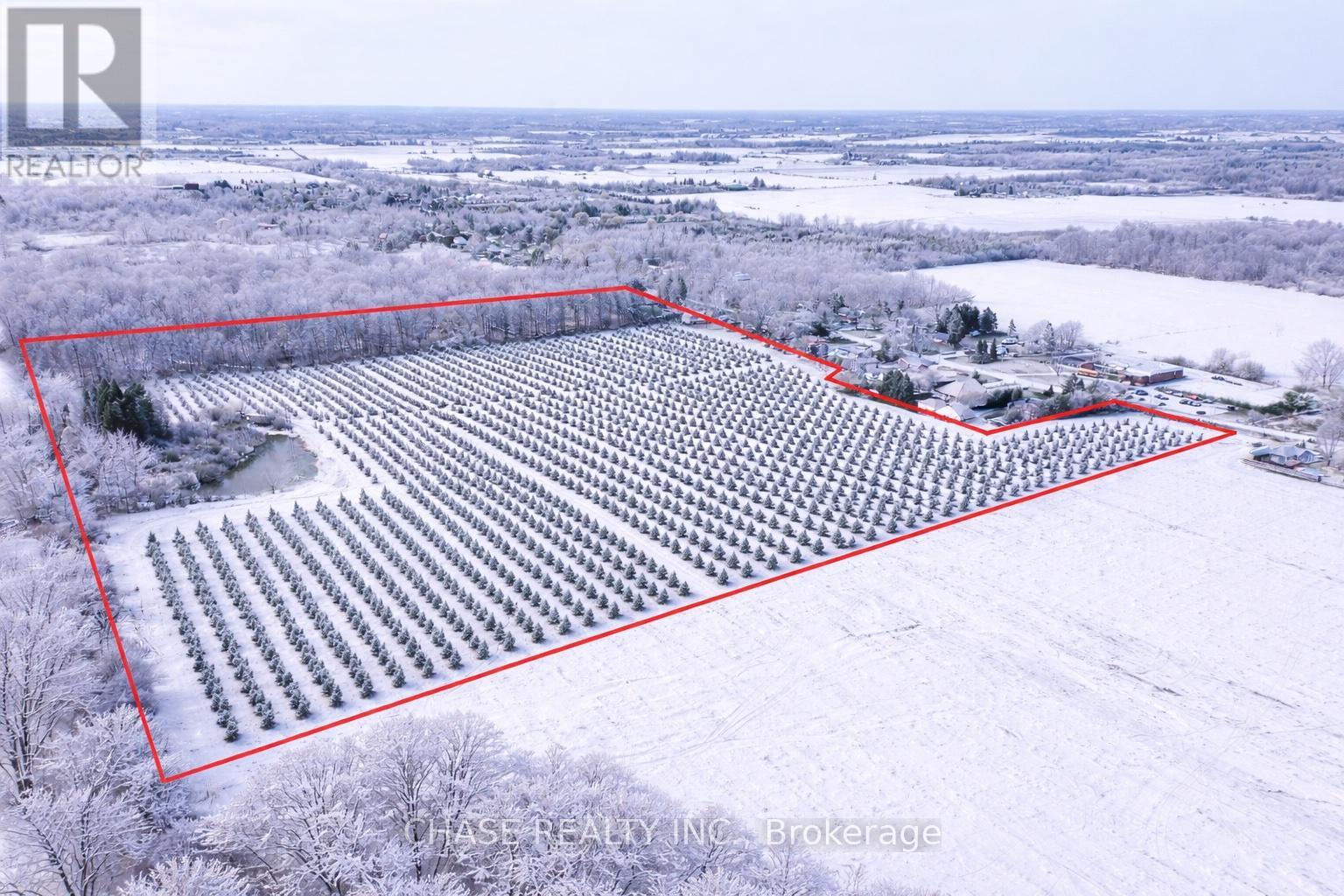 29 Unity Side Road, Haldimand, Ontario  N3W 1M4 - Photo 4 - X12958826