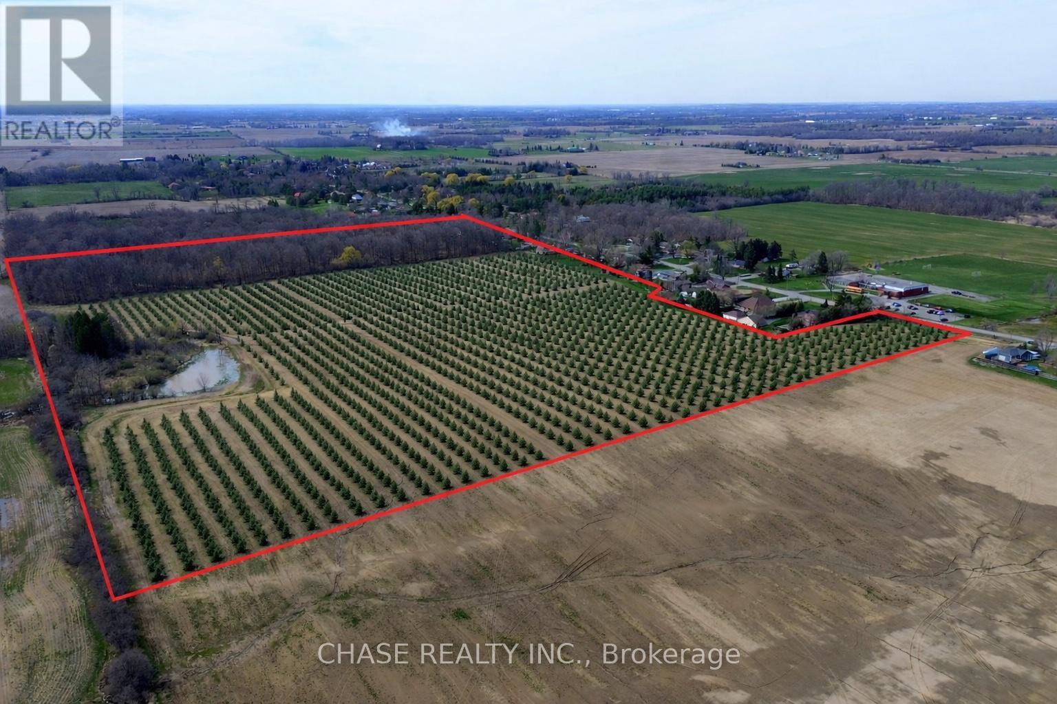 29 Unity Side Road, Haldimand, Ontario  N3W 1M4 - Photo 5 - X12958826