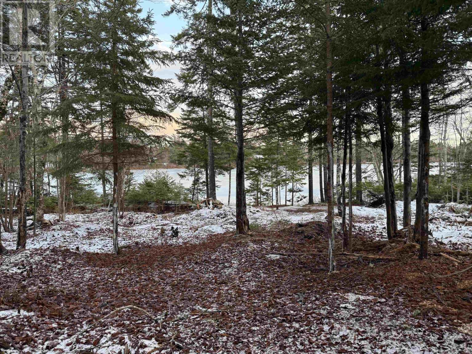 19 Davis Avenue, Upper Rawdon, Nova Scotia  B0N 2N0 - Photo 4 - 202600500