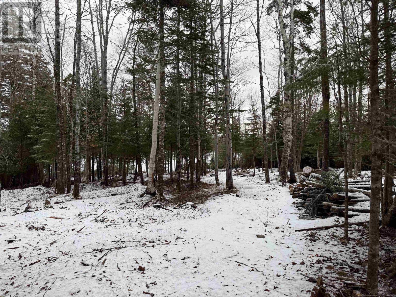 19 Davis Avenue, Upper Rawdon, Nova Scotia  B0N 2N0 - Photo 5 - 202600500