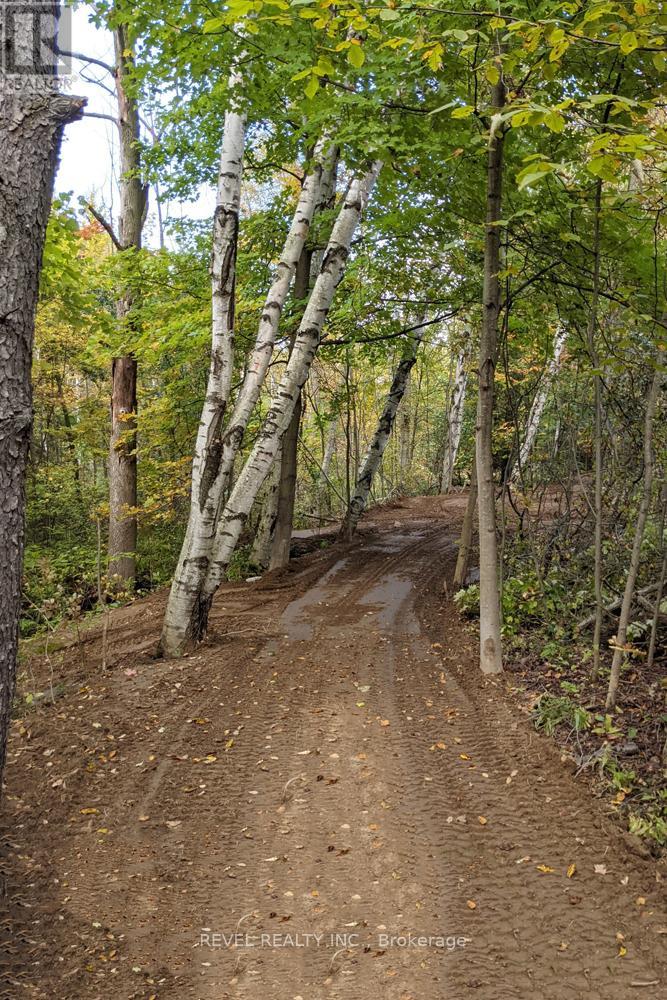 1136 Marydale Park Road, Port Hope, Ontario  L1A 3V7 - Photo 43 - X12790618