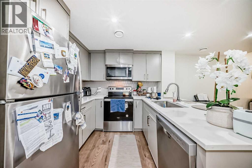 138 Silver Spruce Grove Sw, Calgary, Alberta  T2X 5M2 - Photo 50 - A2297424