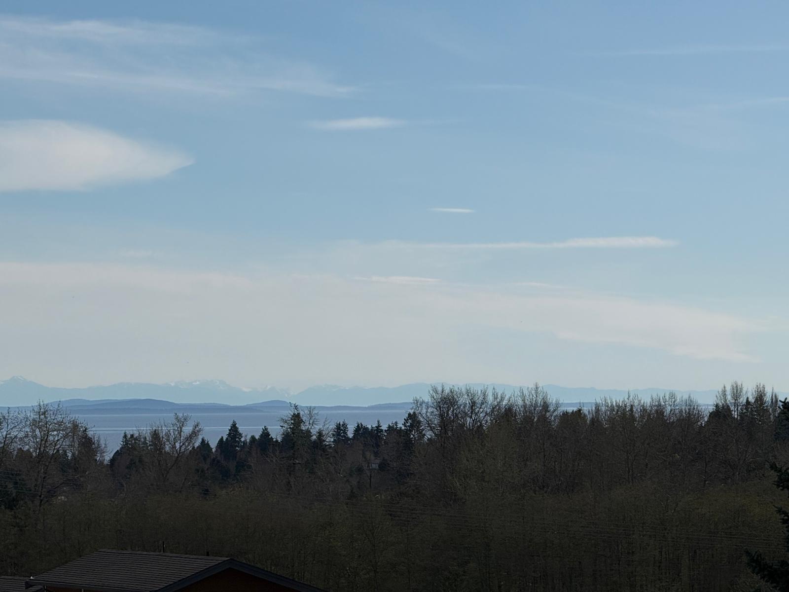 16489 20 Avenue, Surrey, British Columbia  V3Z 9M9 - Photo 8 - R3106679