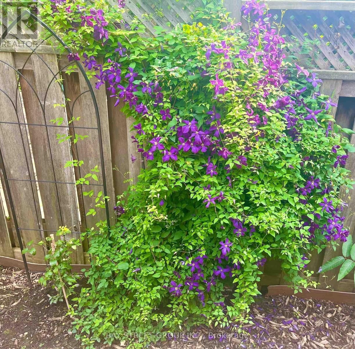 43 Bluesky Crescent, Richmond Hill, Ontario  L4C 8J2 - Photo 13 - N12958920