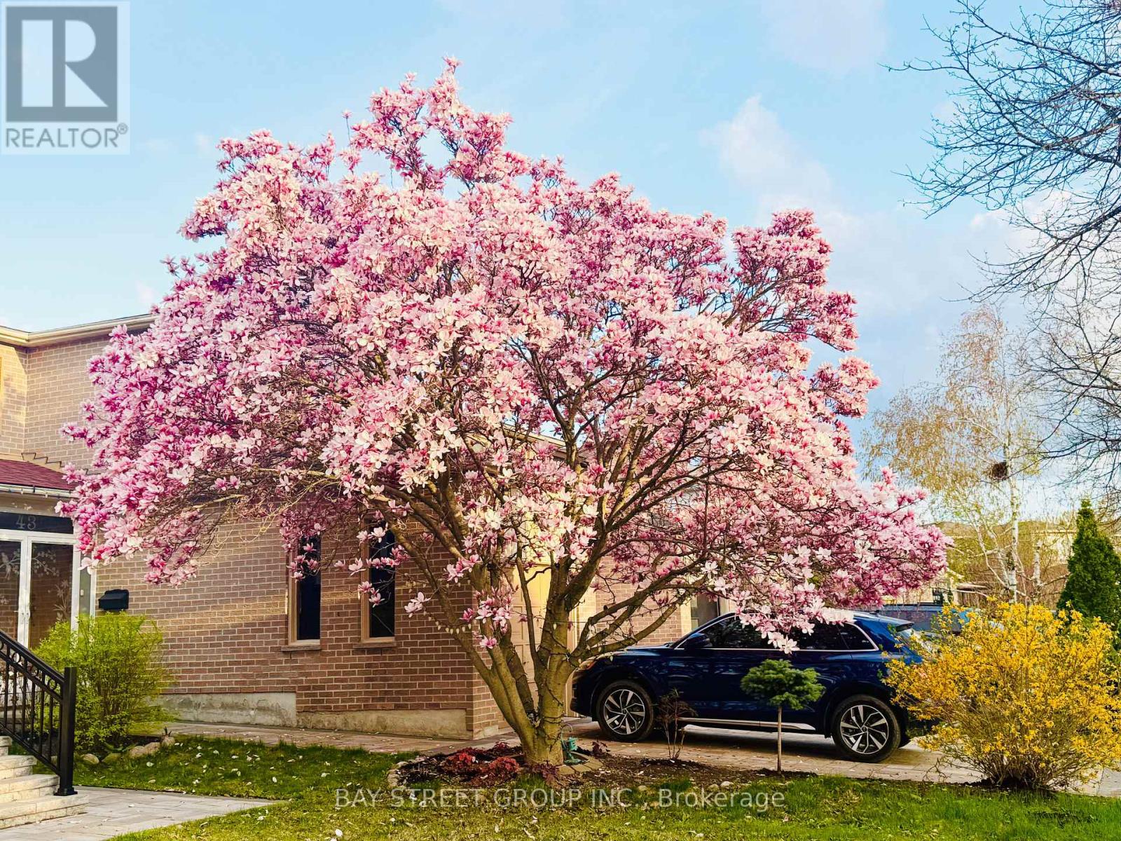 43 Bluesky Crescent, Richmond Hill, Ontario  L4C 8J2 - Photo 4 - N12958920