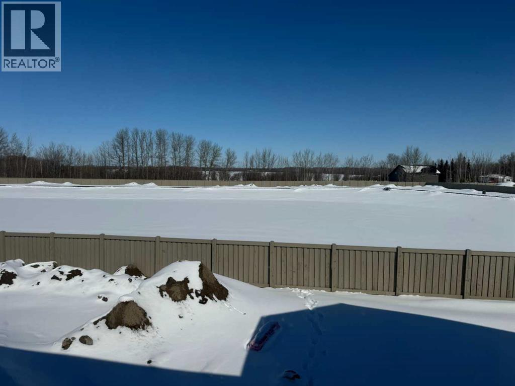 12004 54 Avenue, Rural Grande Prairie No. 1, Alberta  T8W 0N1 - Photo 2 - A2297225