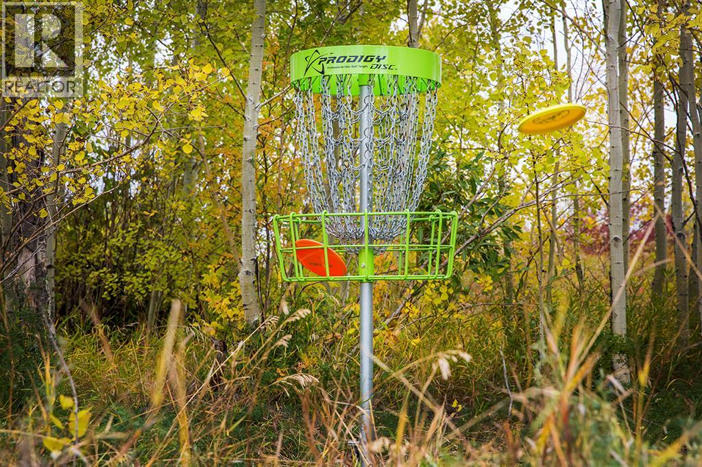 48 Cottonwood Crescent, Rosemary, Alberta  T0J 2W0 - Photo 3 - A2299212