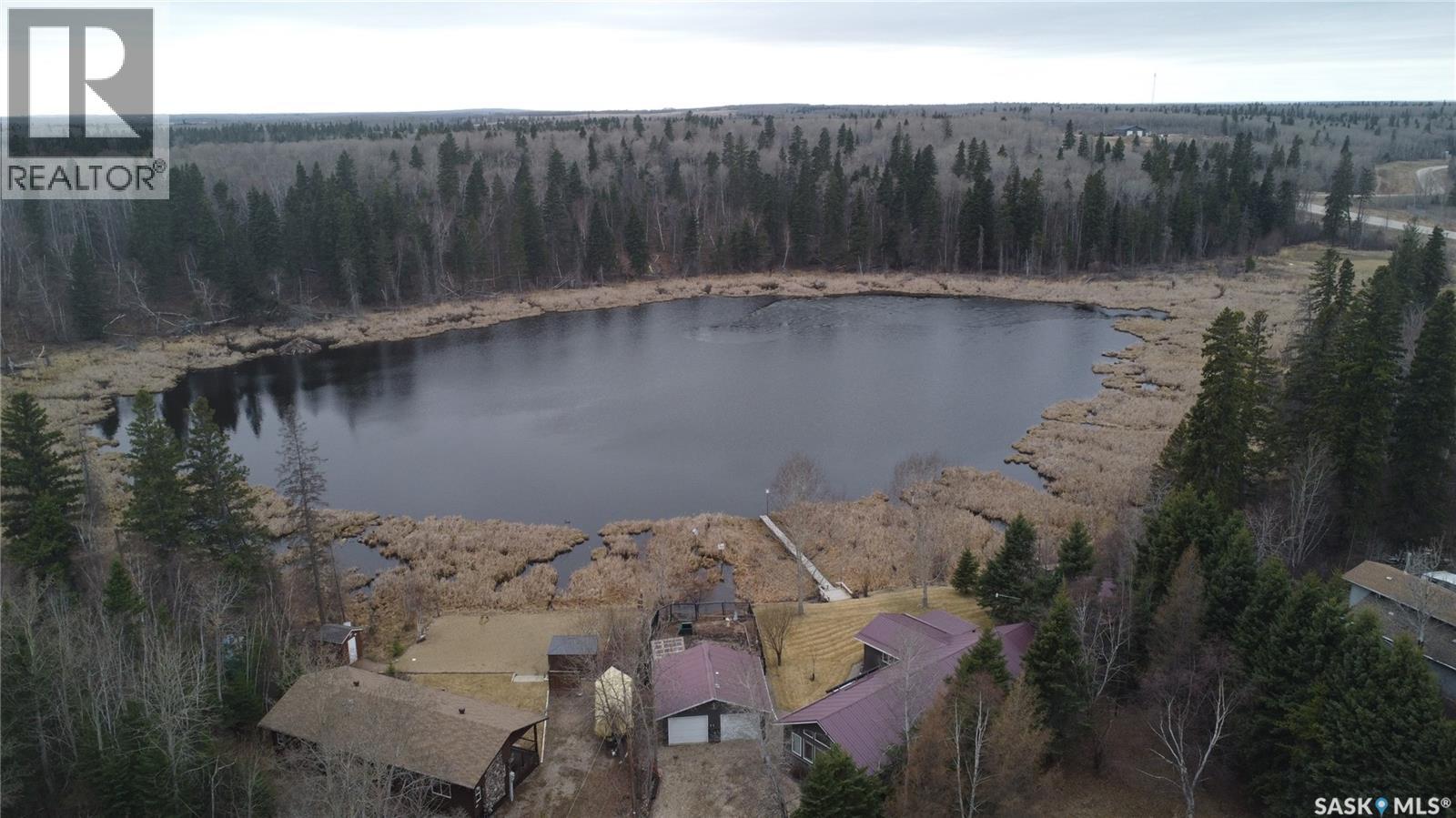 412 Mary Anne Place, Paddockwood Rm No. 520, Saskatchewan  S0J 0N0 - Photo 59 - SK032101