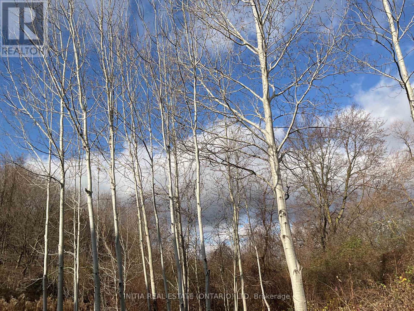 1295 Dyer Crescent, London North, Ontario  N6G 0S7 - Photo 26 - X12959086