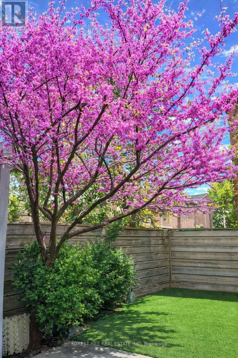 97 Olive Avenue, Toronto, Ontario  M6G 1V2 - Photo 46 - C12959098