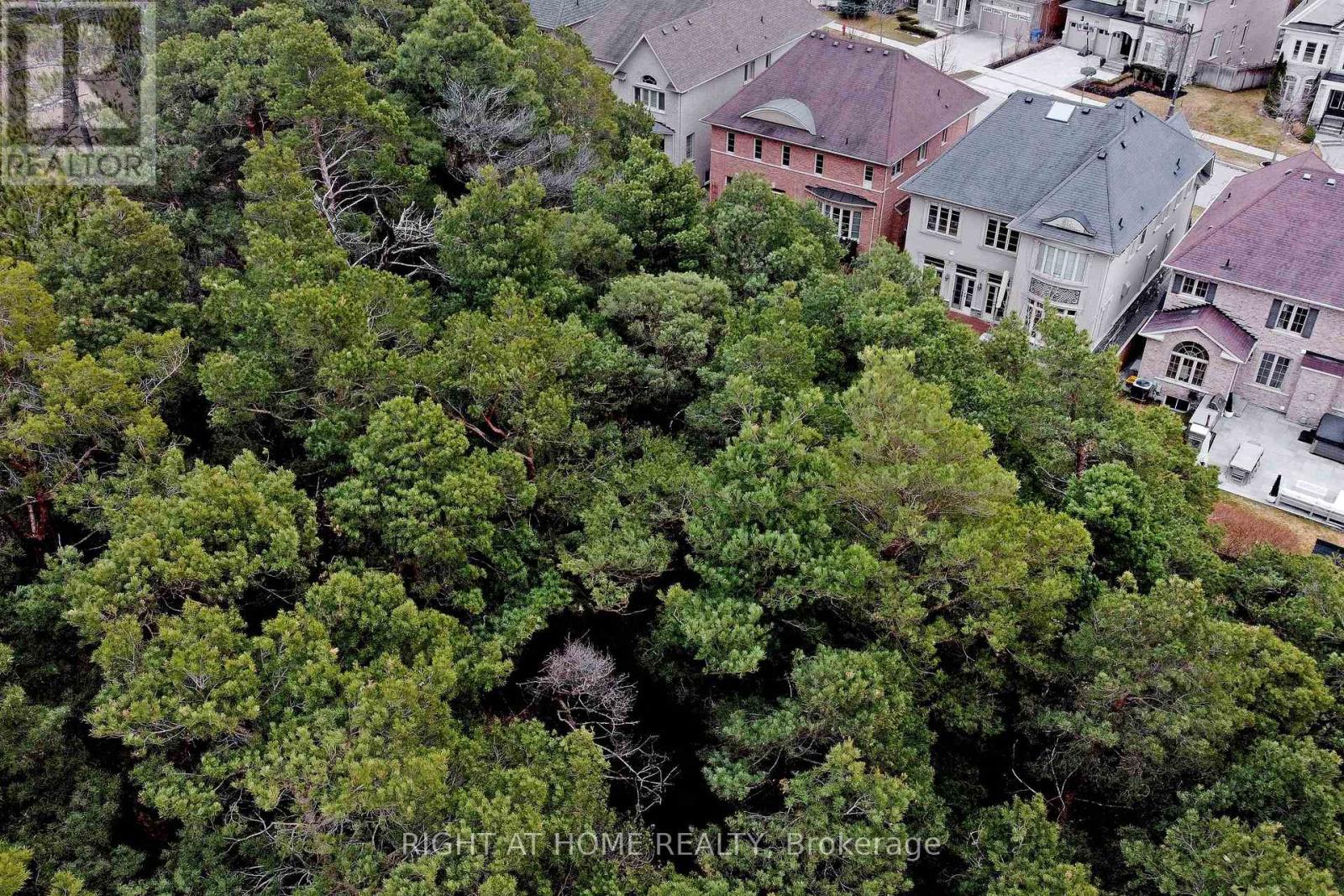 95 Vines Place, Aurora, Ontario  L4G 0R7 - Photo 45 - N12959142