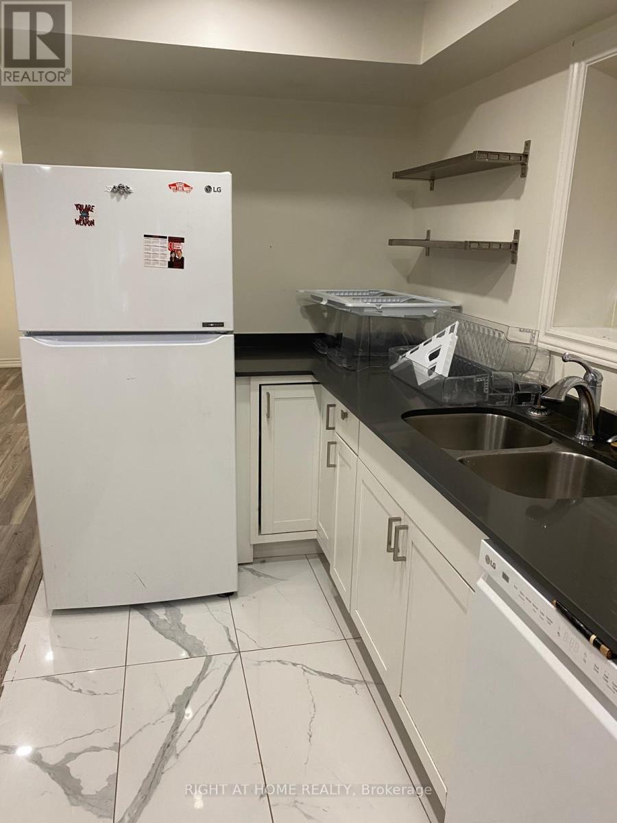 Lower - 45 Paper Mills Crescent, Richmond Hill (Jefferson), Ontario  L4E 0V5 - Photo 2 - N12959208