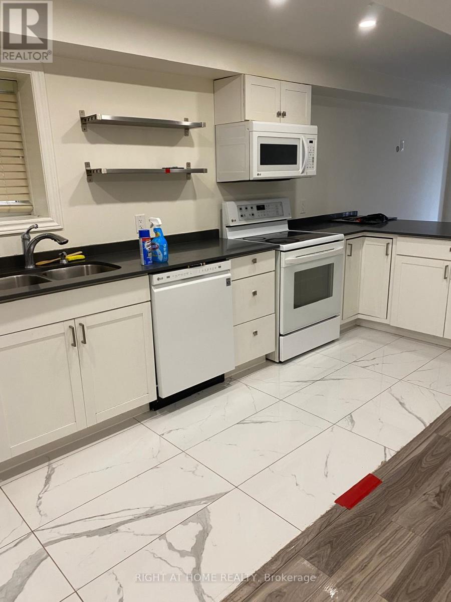 Lower - 45 Paper Mills Crescent, Richmond Hill (Jefferson), Ontario  L4E 0V5 - Photo 3 - N12959208