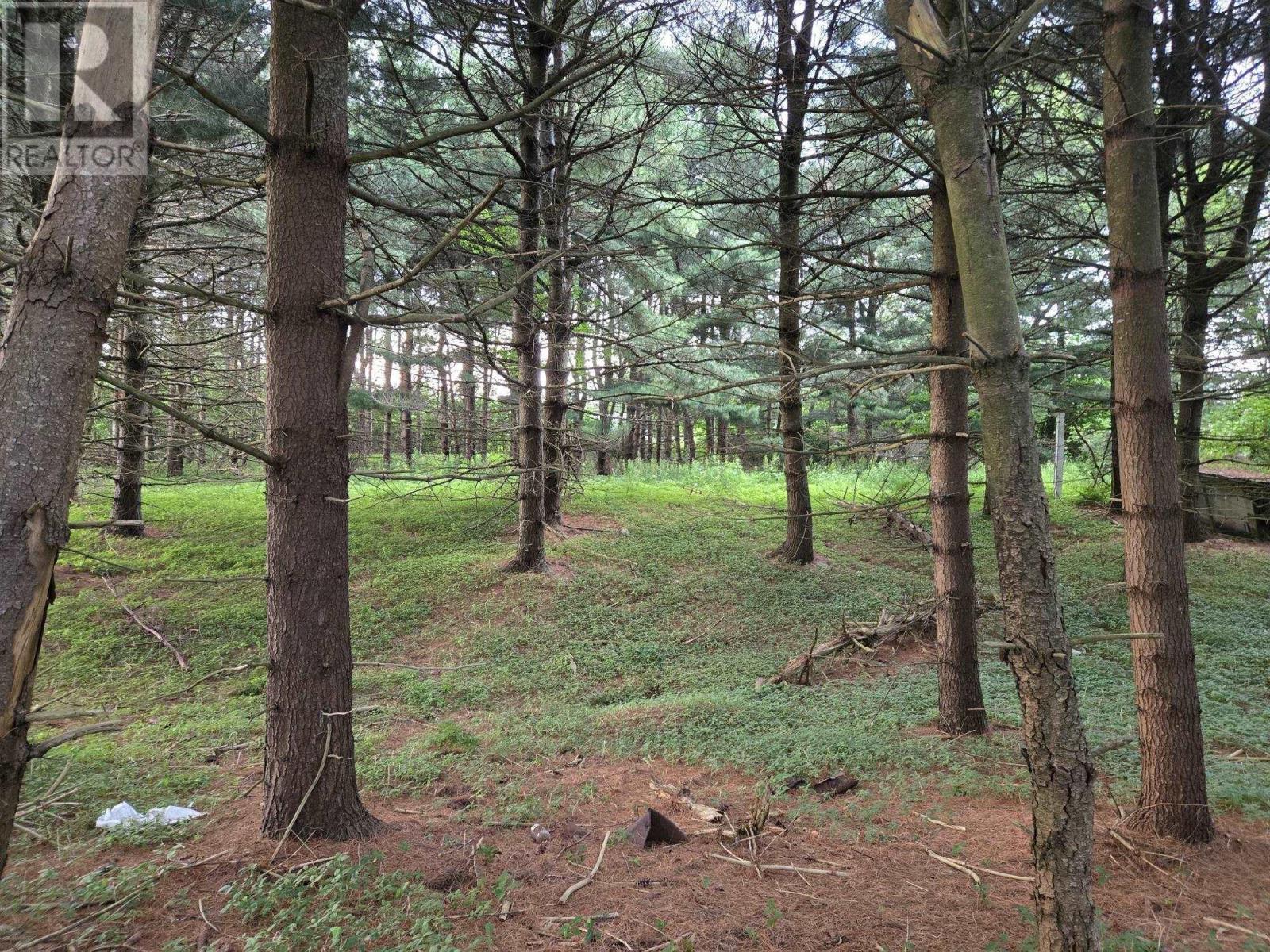 Lot 3 Salmon River Road, Murray Siding, Nova Scotia B2N 7E1 - Photo 5 - 202601713