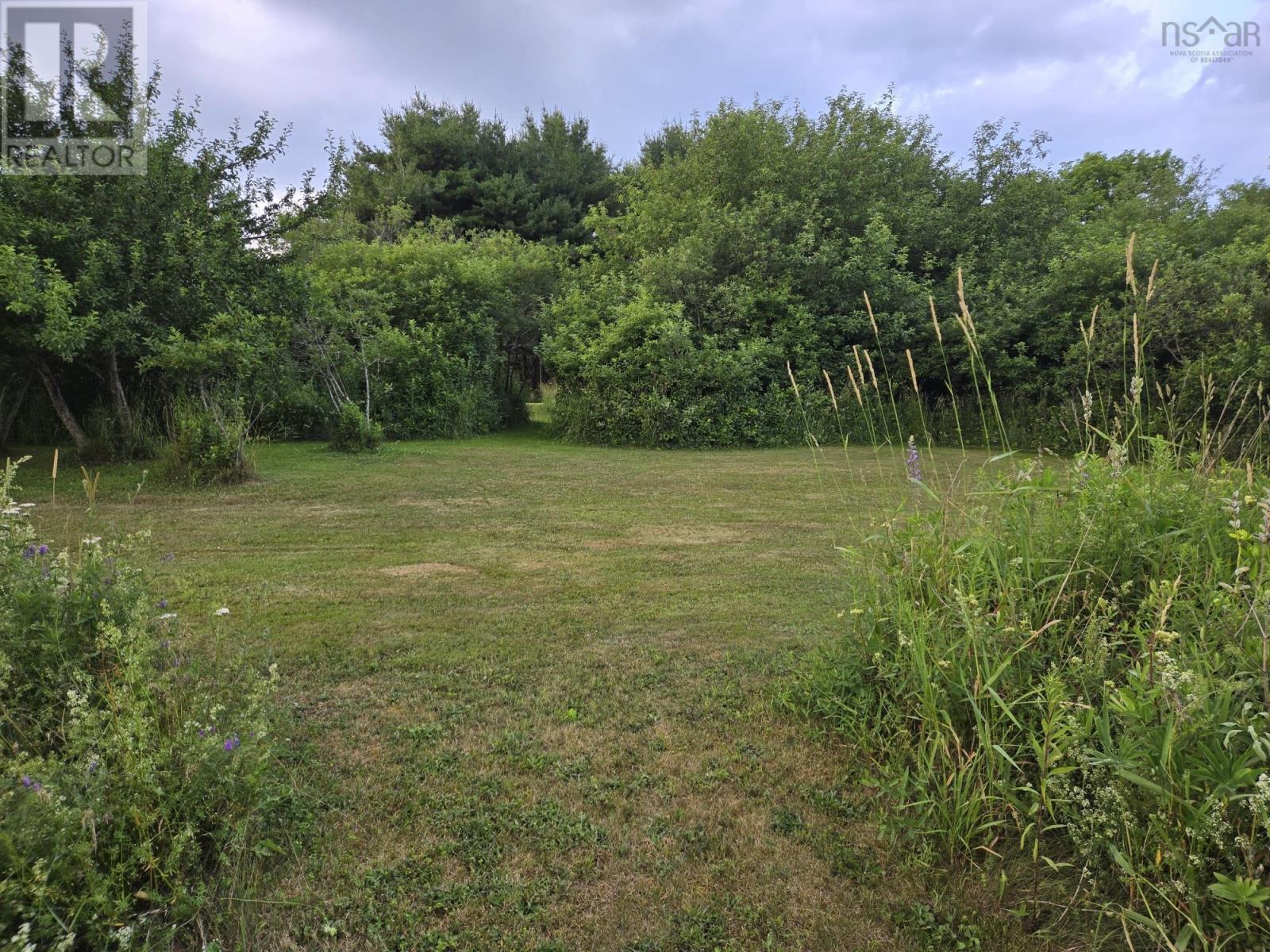 Lot 3 Salmon River Road, Murray Siding, Nova Scotia B2N 7E1 - Photo 3 - 202601713