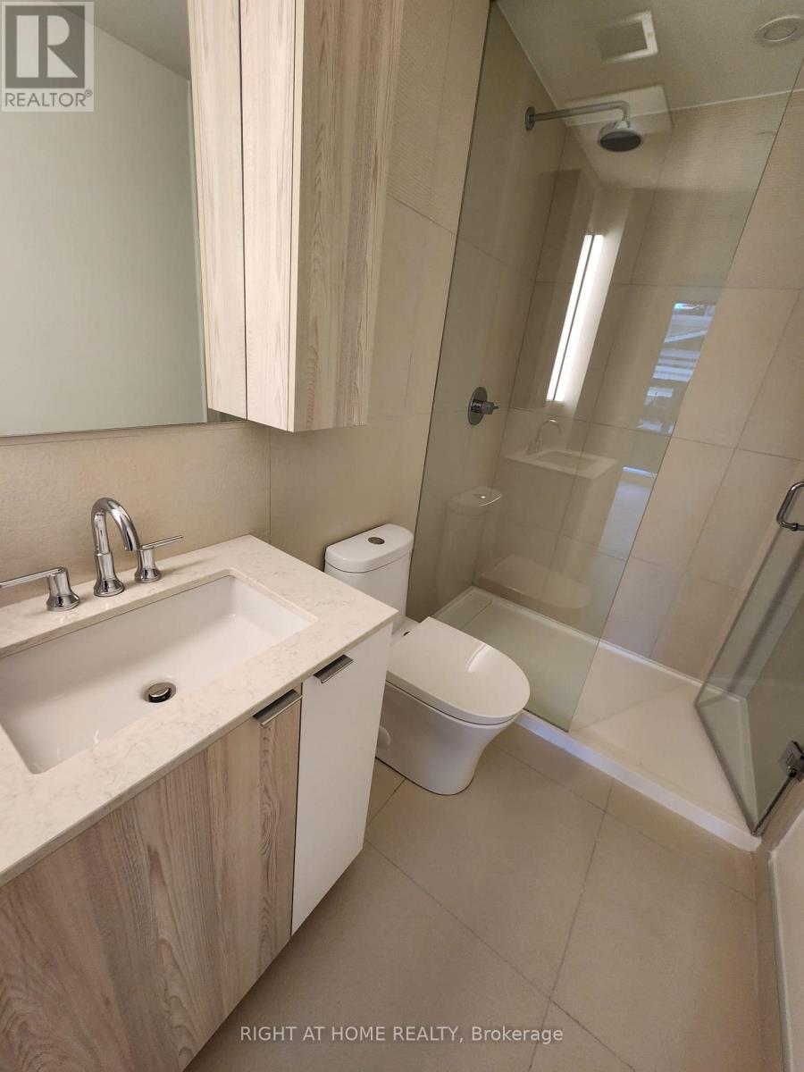 523 - 15 Mercer Street, Toronto (Waterfront Communities), Ontario  M5V 1H2 - Photo 10 - C12955556