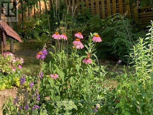 37 Ontario Street, Prince Edward County, Ontario  K0K 2T0 - Photo 40 - X12959256