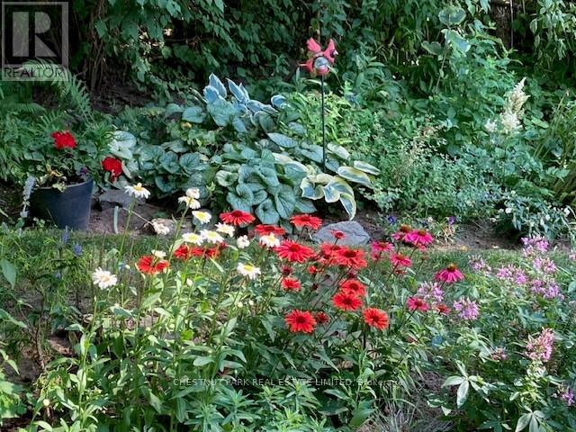 37 Ontario Street, Prince Edward County, Ontario  K0K 2T0 - Photo 41 - X12959256