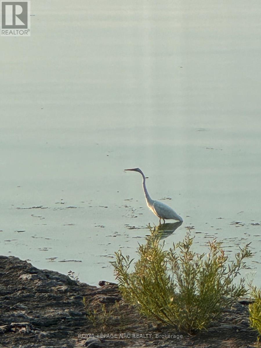 10781 Lakeshore Road W, Wainfleet, Ontario  L3K 5V4 - Photo 46 - X12494986
