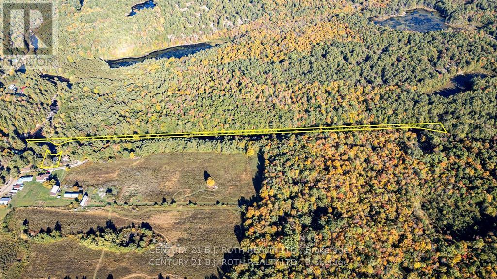 8101 Kings River Road, Ramara, Ontario  L0K 2B0 - Photo 30 - S12955600