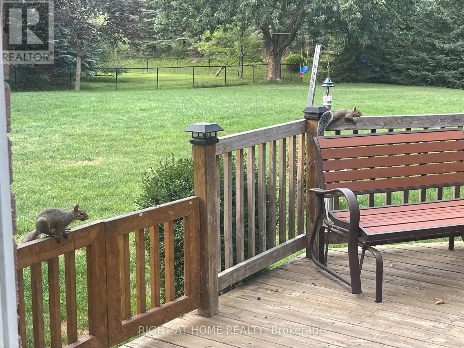 9 Lady Diana Court, Whitchurch-Stouffville, Ontario  L4A 2C9 - Photo 35 - N12959278