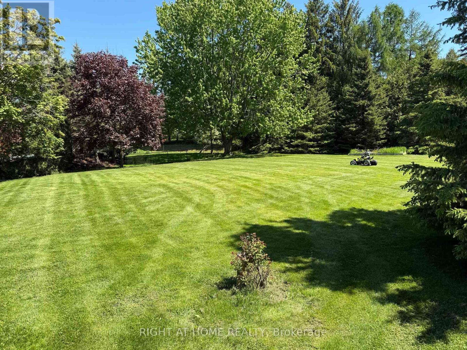 9 Lady Diana Court, Whitchurch-Stouffville, Ontario  L4A 2C9 - Photo 4 - N12959278